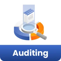 Auditing Quick Notes